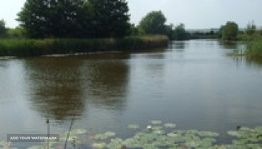 old-river The Old River