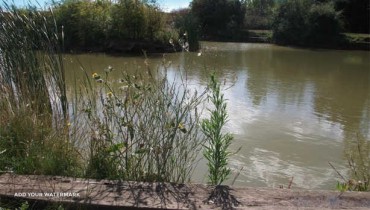 Mill Barn Coarse Fishery