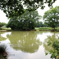 Belfry Coarse Fishery