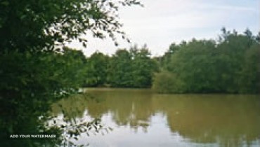 Woodpeckers Coarse Fishery